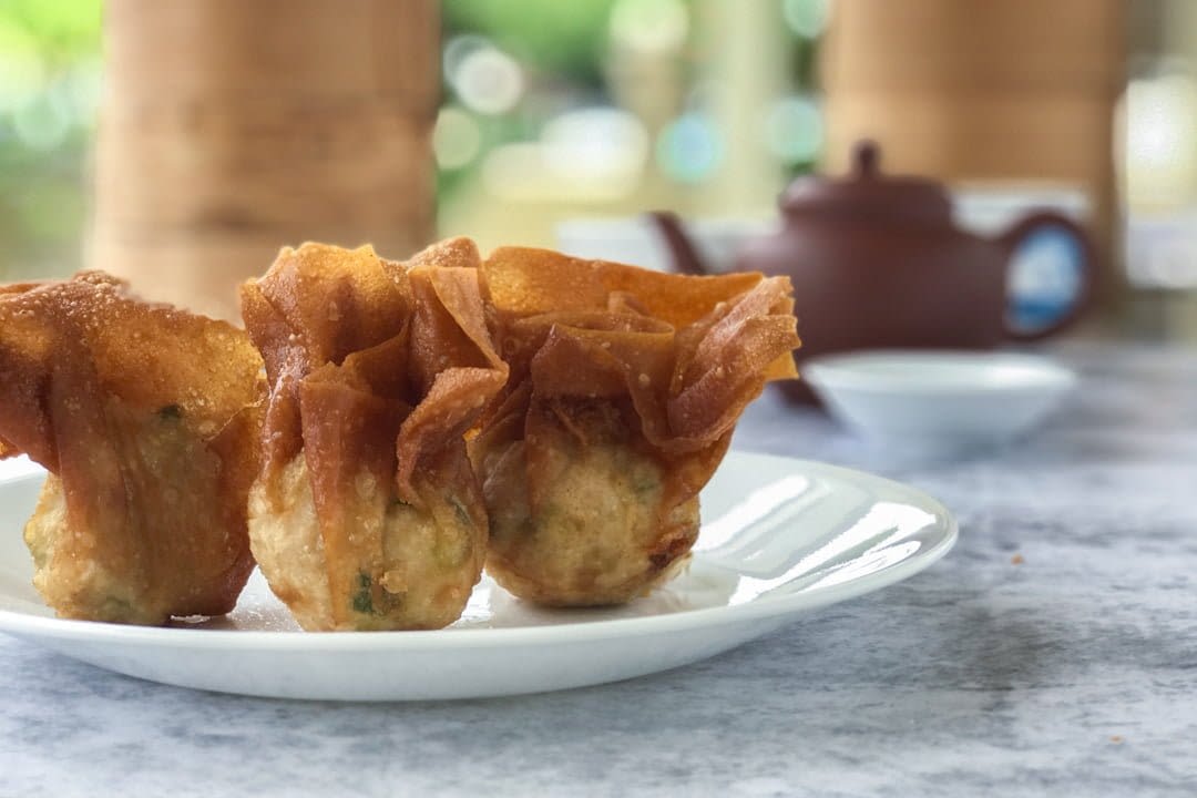 friedwontons.jpg